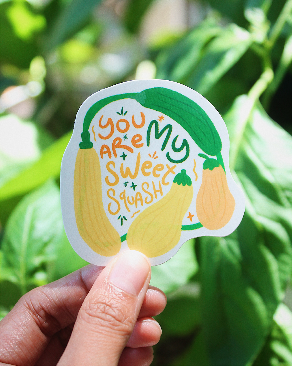 My Sweet Squash Sticker