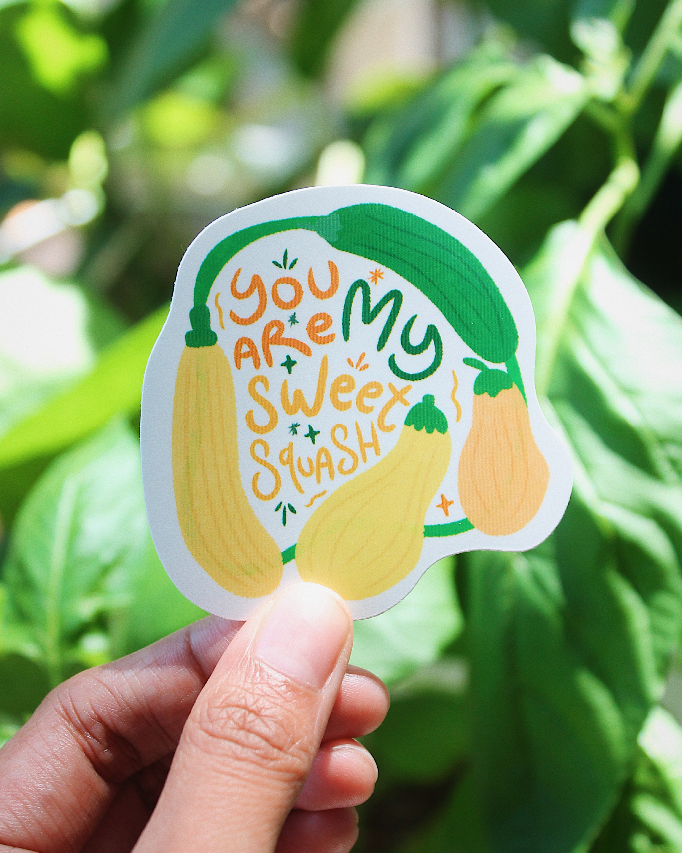 My Sweet Squash Sticker