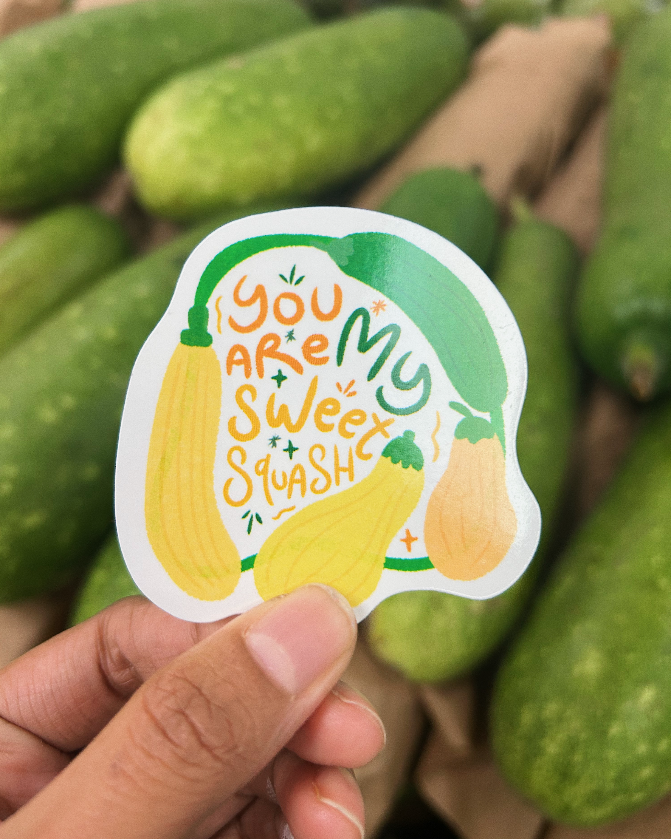 My Sweet Squash Sticker